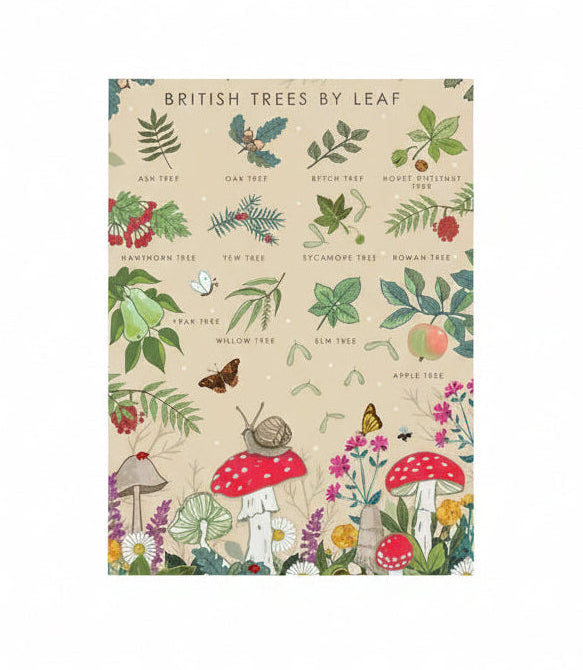 British Trees by Leaf Greetings Card