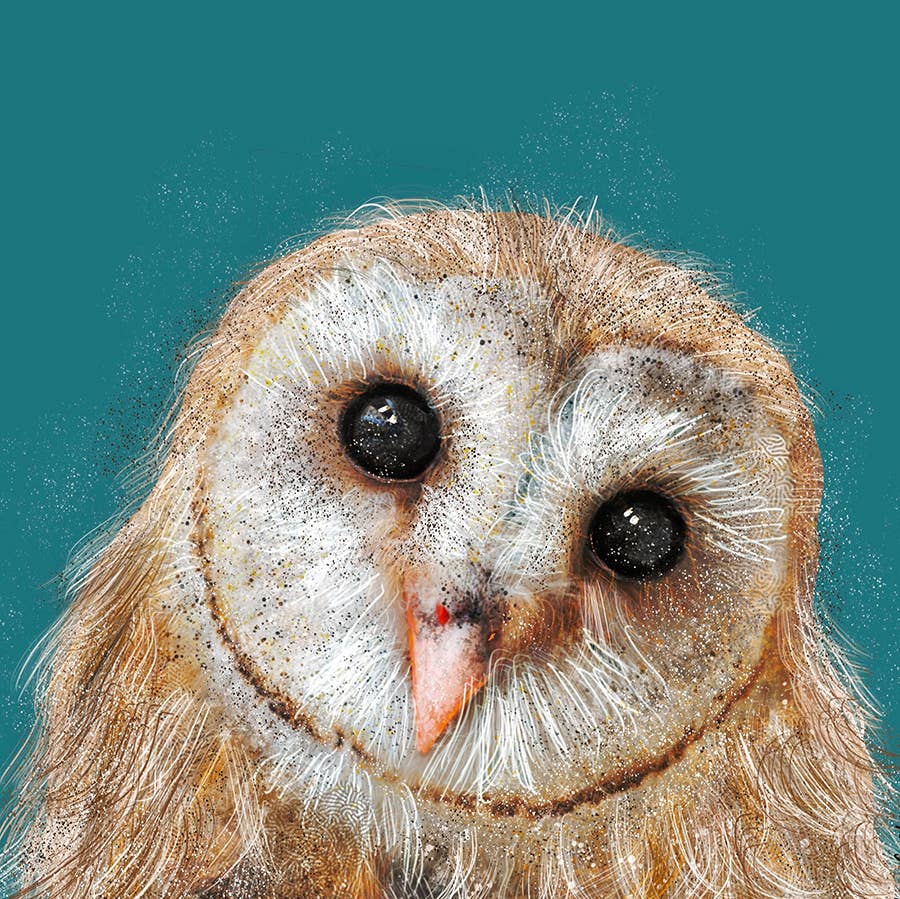 Curious Owl Greeting Card