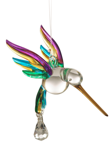 Fantasy Glass Hummingbird, Tropical