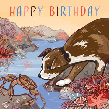 Rock Pool Pup Birthday Card