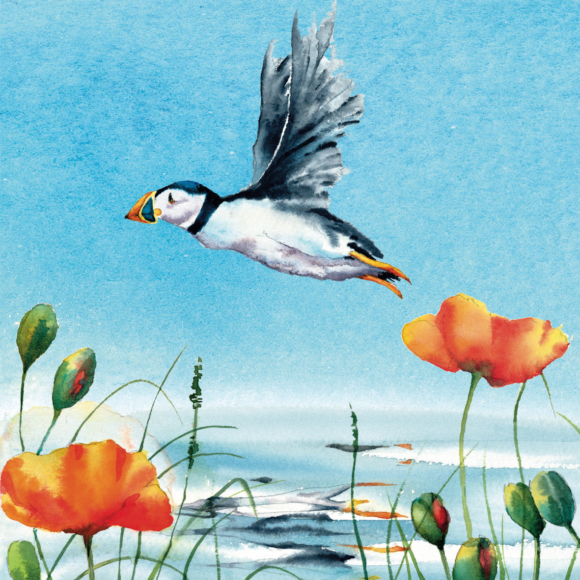 Poppies and Puffins Greetings Card by Rachel Toll