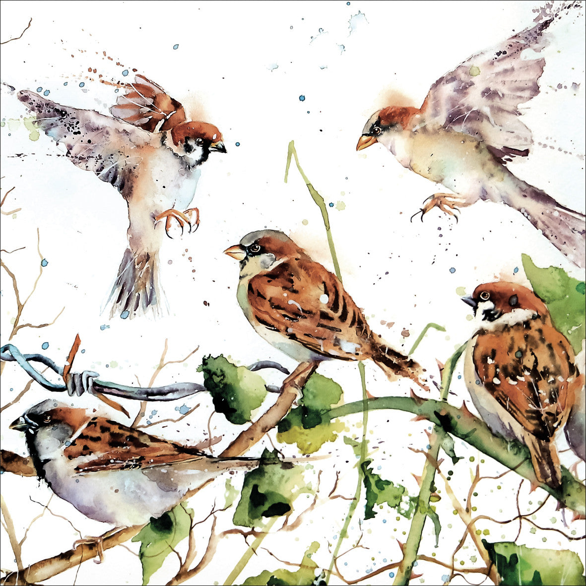 Sparrows Greetings Card by Rachel Toll