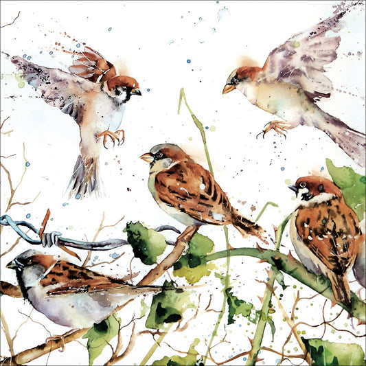 Rachel Toll Sparrows Greetings Card