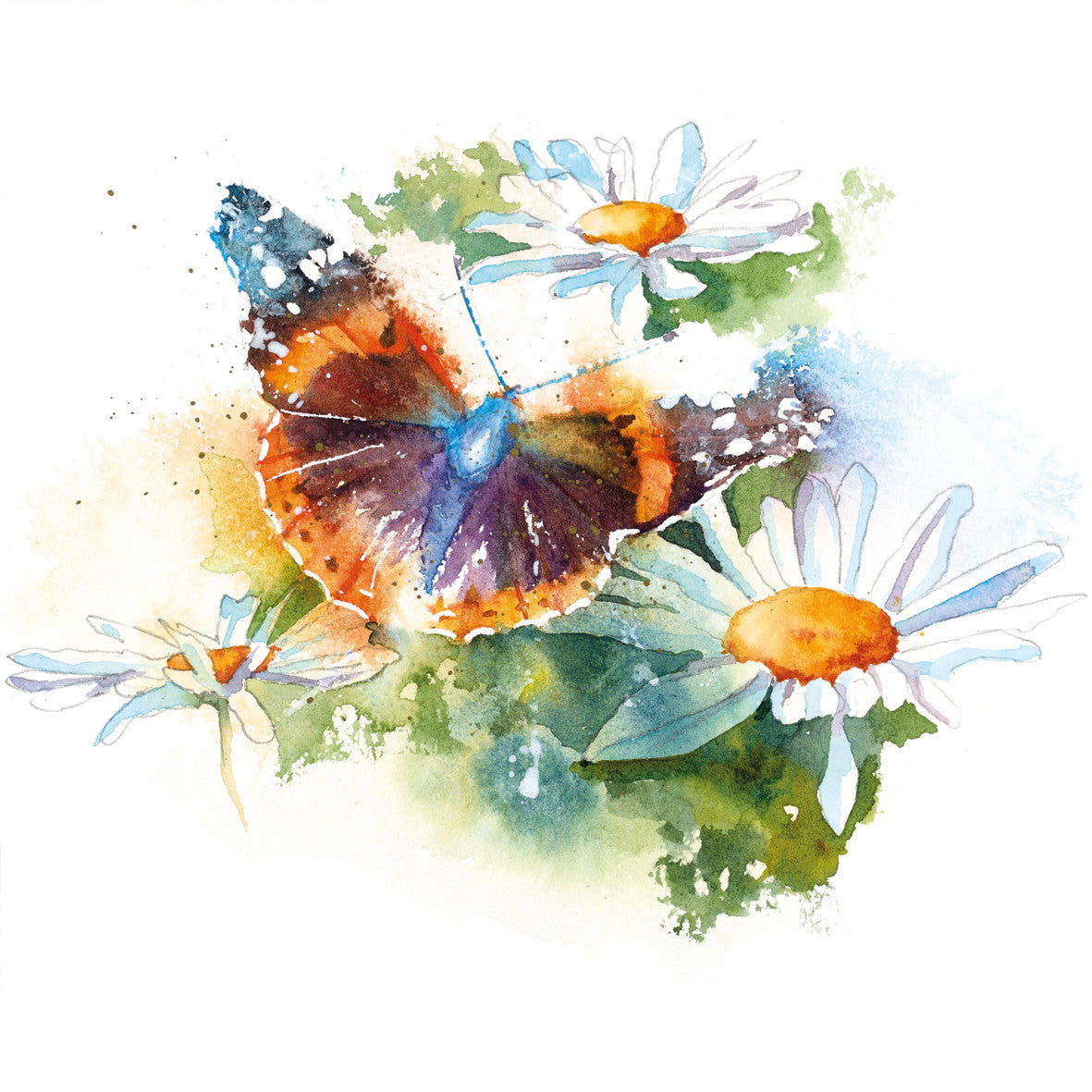 Rachel Toll Red Admiral Greetings Card