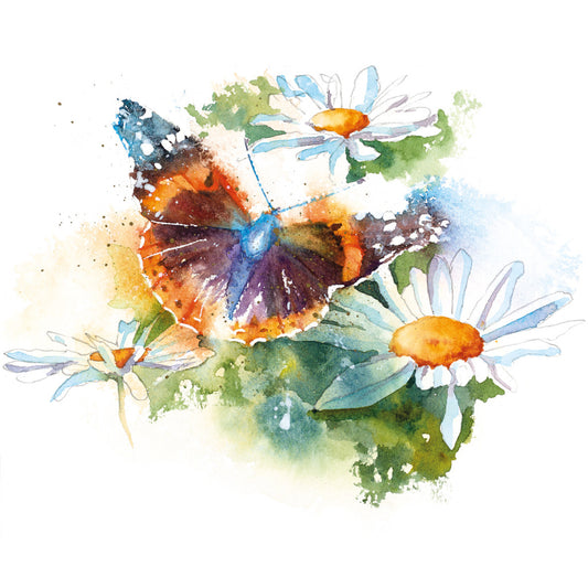 Rachel Toll Red Admiral Greetings Card