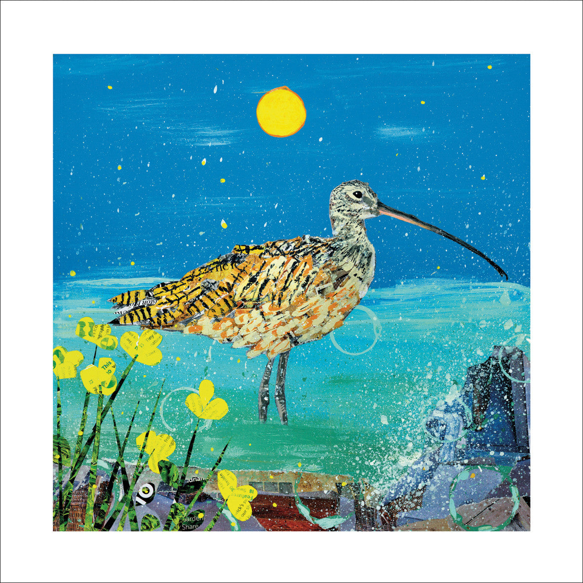 Cornish Curlew Greeting Card by Adam James Severn