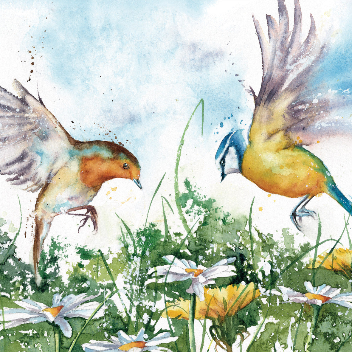 Flying Over Daisies Greetings Card by Rachel Toll