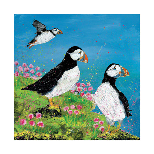 Adam James Severn Clifftop Puffins Greeting Card