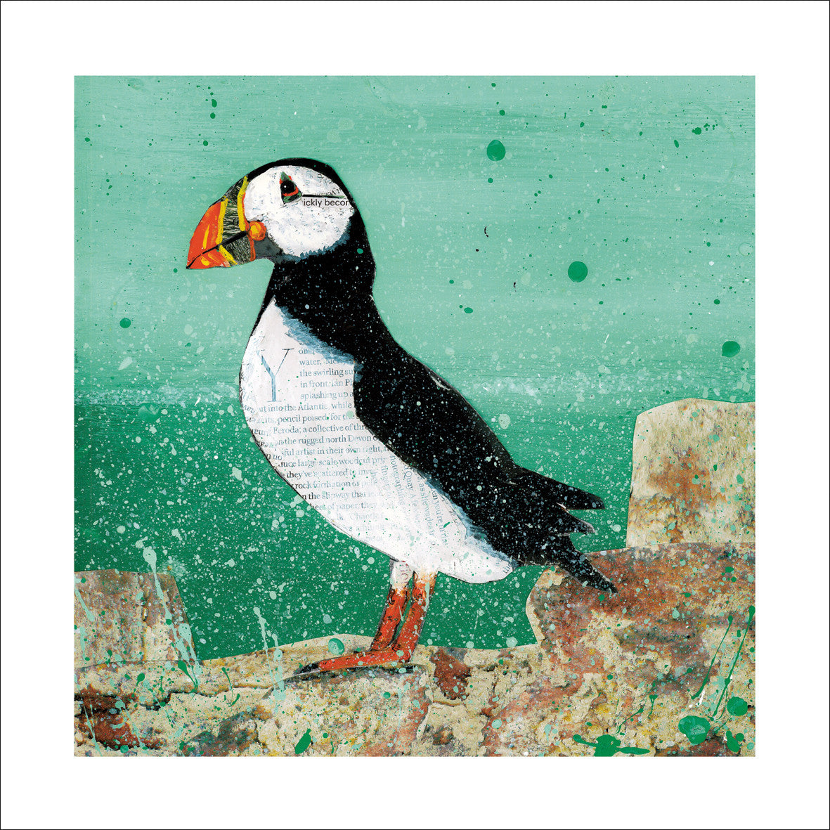 Puffin Greeting Card by Adam James Severn