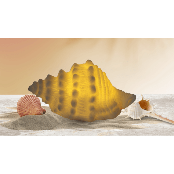Mini Small Horse Conch Shell Lamp