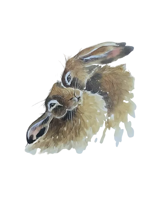 Feather & Fur Love is…. Greetings Card