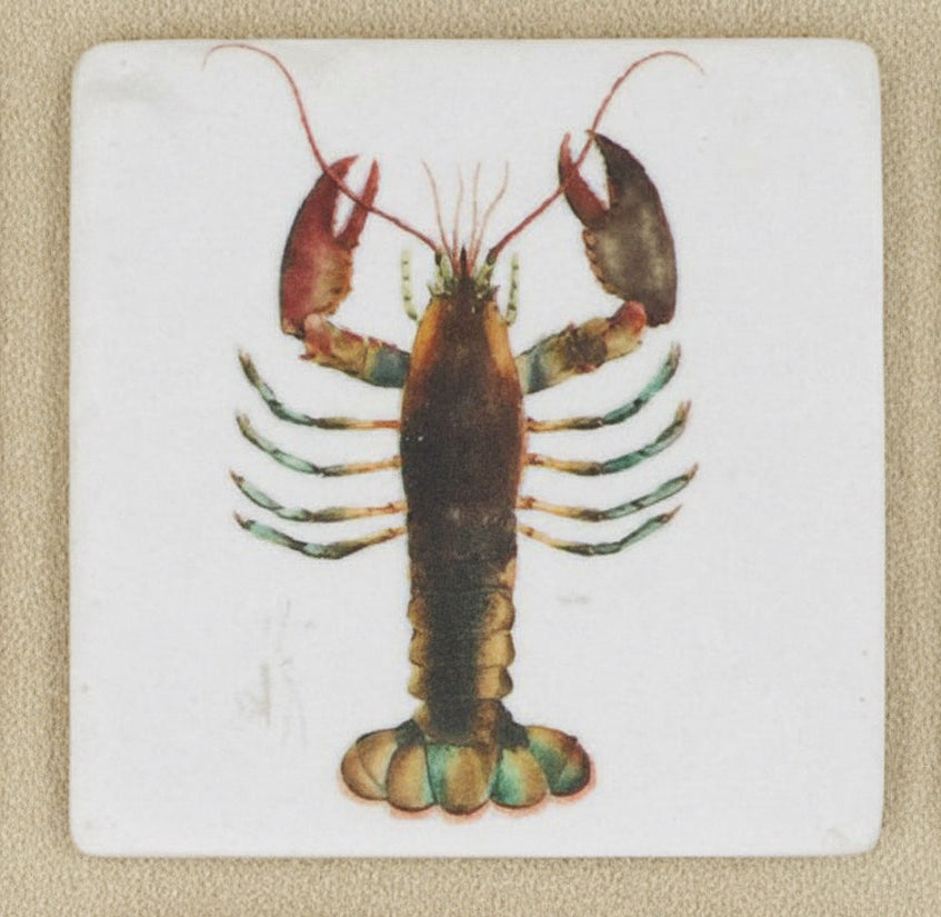 Lobster Coaster