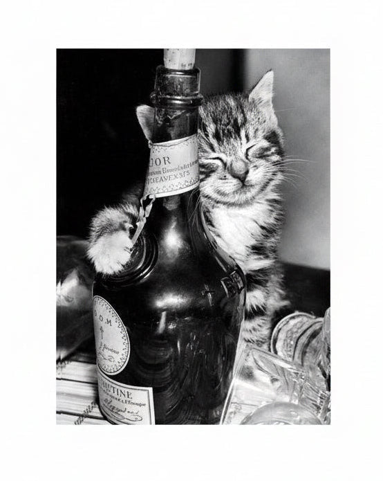 Tabby feeling the effects 1950s Black & White Greetings Card