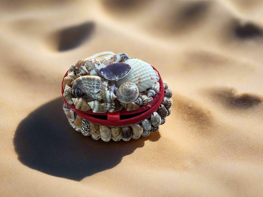 Mini Shell Trinket Box