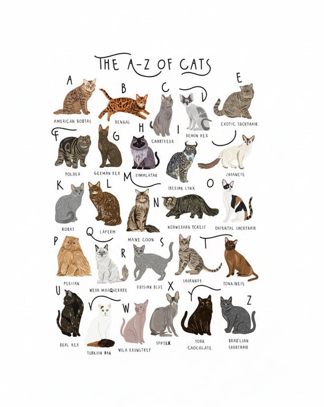 The A - Z of Cats Greetings Card