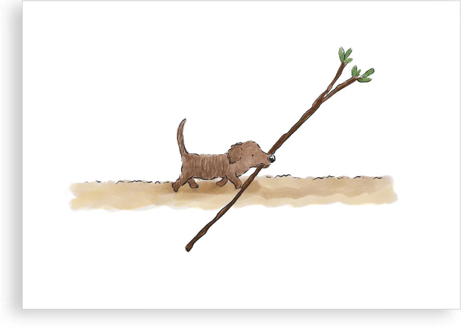 ‘Puppy’s best stick’, Greetings Card