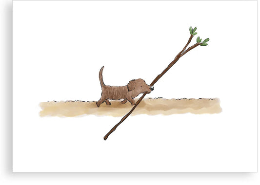 ‘Puppy’s best stick’, Greetings Card