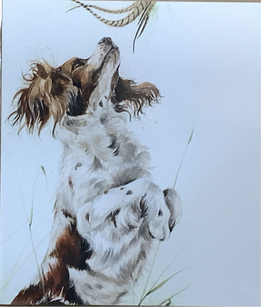 Feather & Fur Highly Sprung Greetings Card