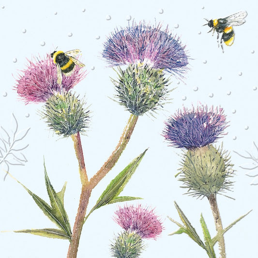 Beautiful Blooms Thistles