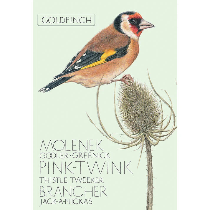 Goldfinch, The Naming of Bird Greetings Card