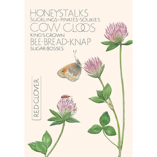 Red Clover, The Naming of Flower Greetings Card
