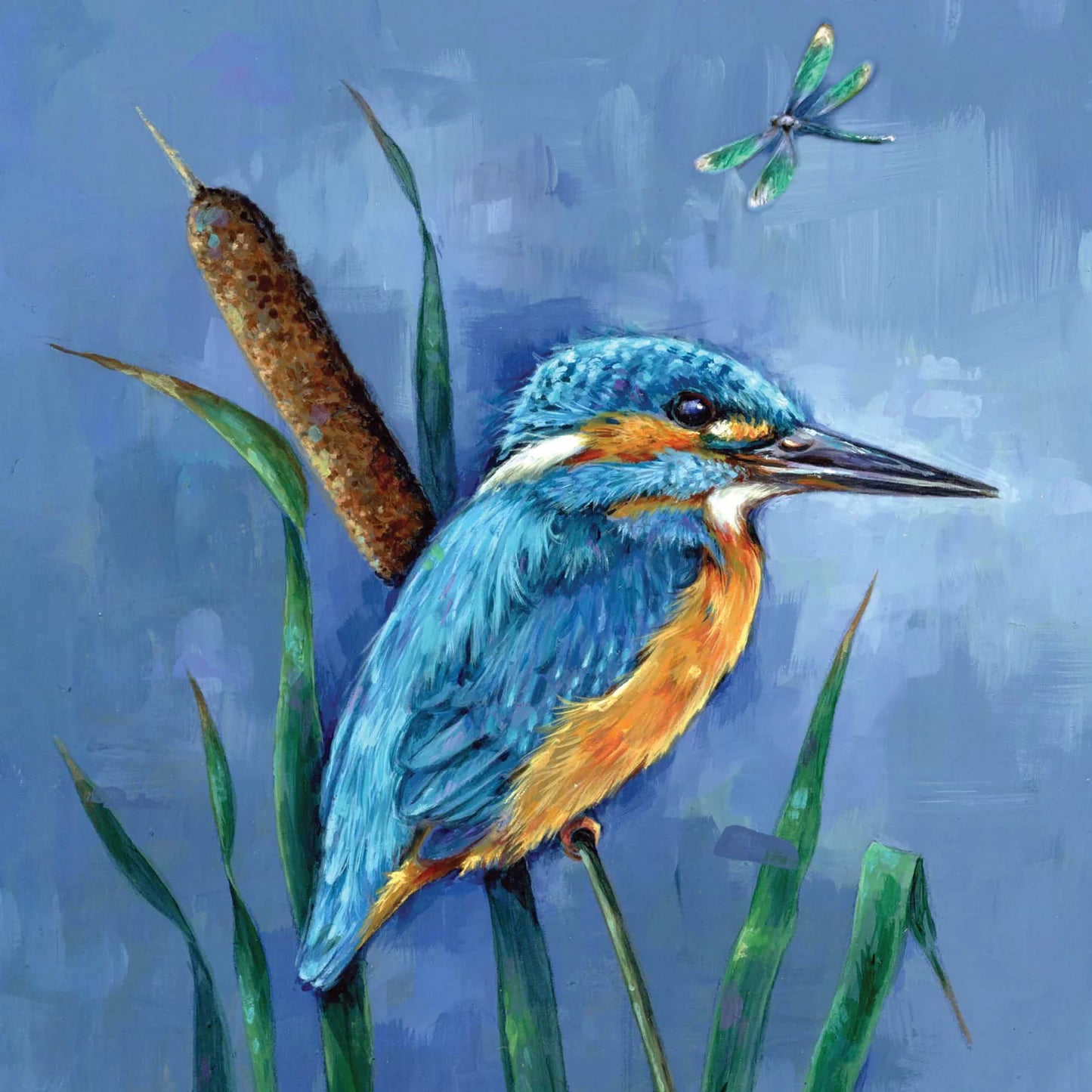 Wild friends Kingfisher Greetings Card