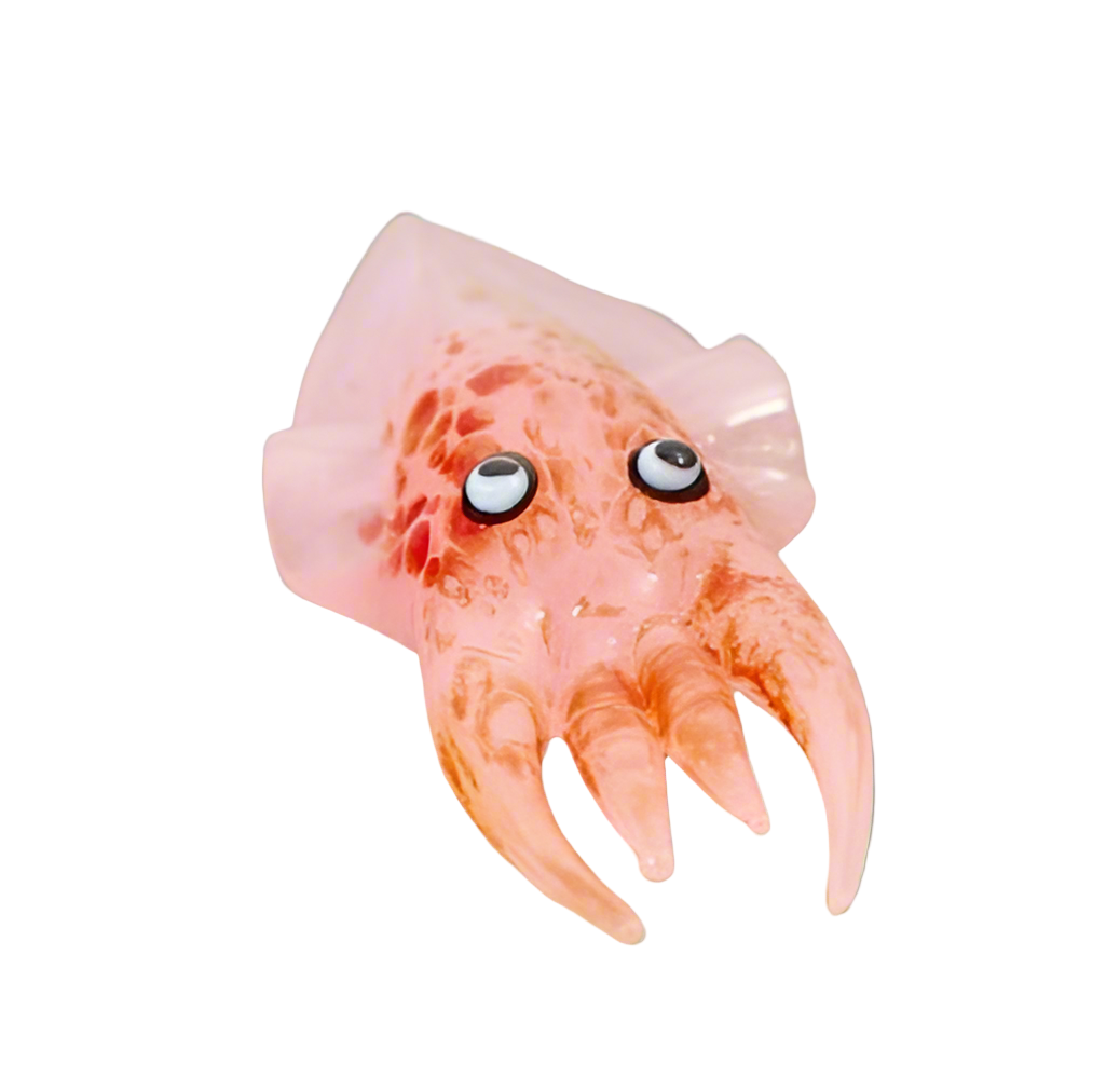 Glass Cuttlefish, Mottled Pale Pink