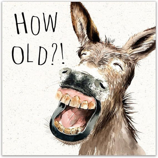 Donkey, How Old??’ Greetings Card