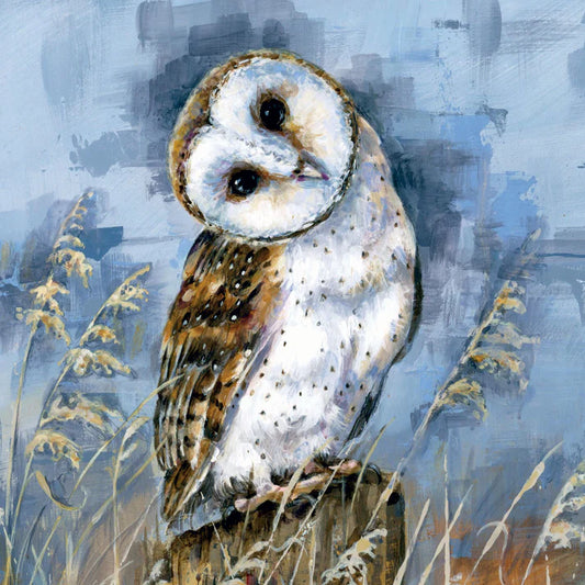 Wild Friends Barn Owl Greetings Card