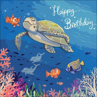 Happy Birthday Turtle Birthday Card