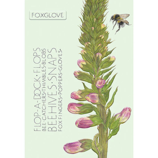The Naming of Flower, Foxglove Greetings Card