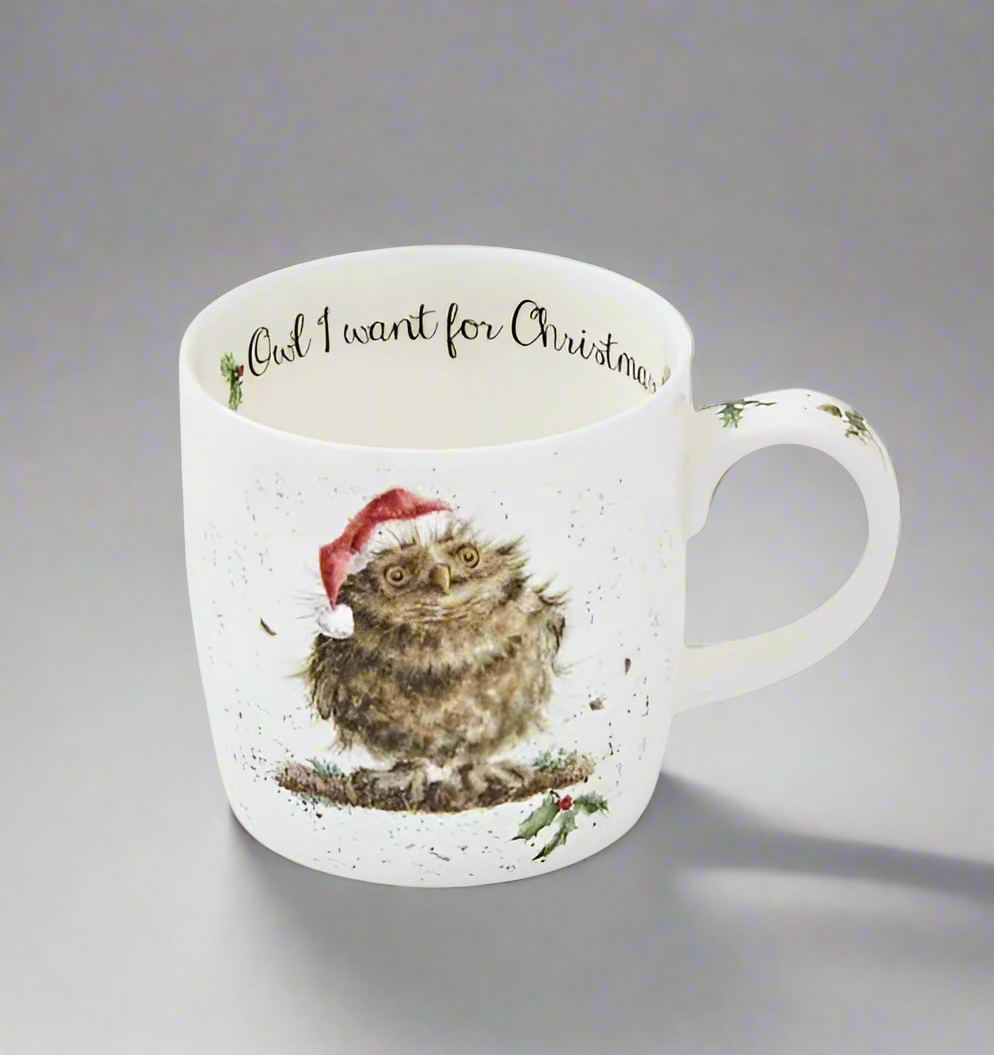 Wrendale Owl I Want for Christmas Mug
