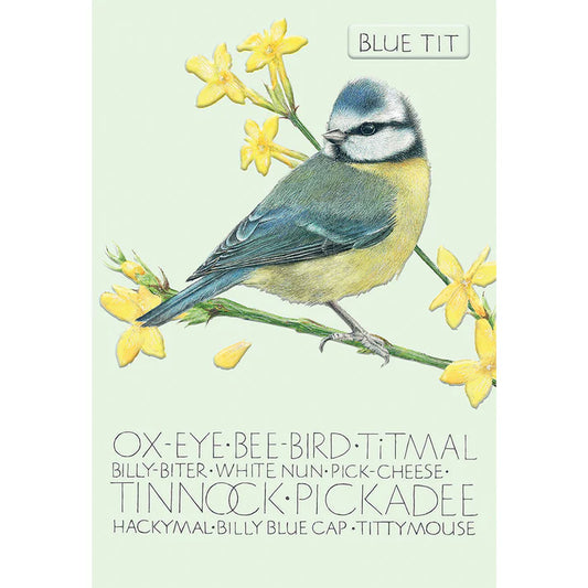 The Naming of Bird Blue Tit Greetings Card