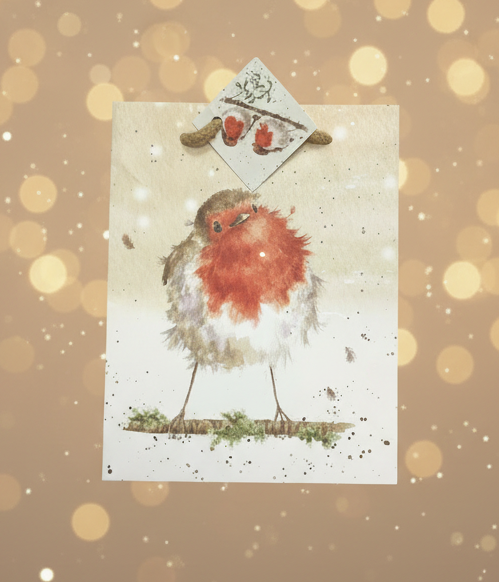 Robin gift bag
