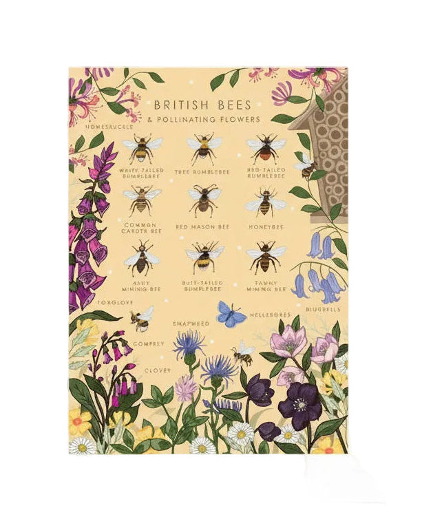 British Bees and Flowering Plants Greetings Card