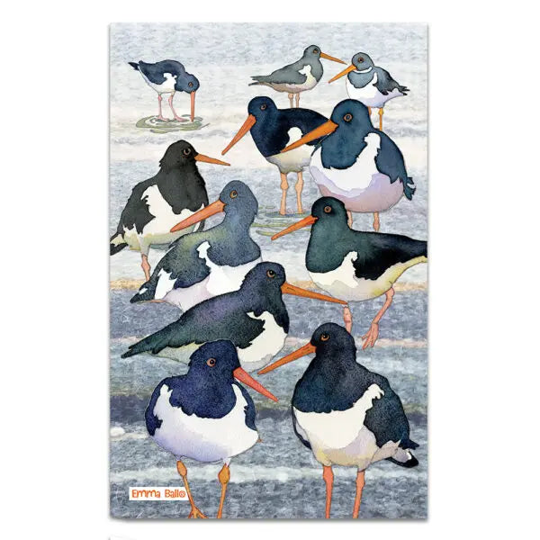 ‘Oystercatcher’ Cotton Tea Towel, Emma Ball