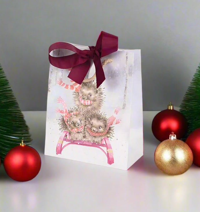 Small Sledgehogs Gift Bag
