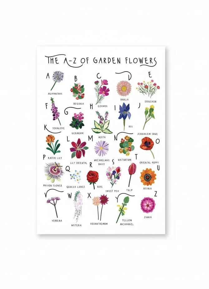 The A - Z of Garden Flowers