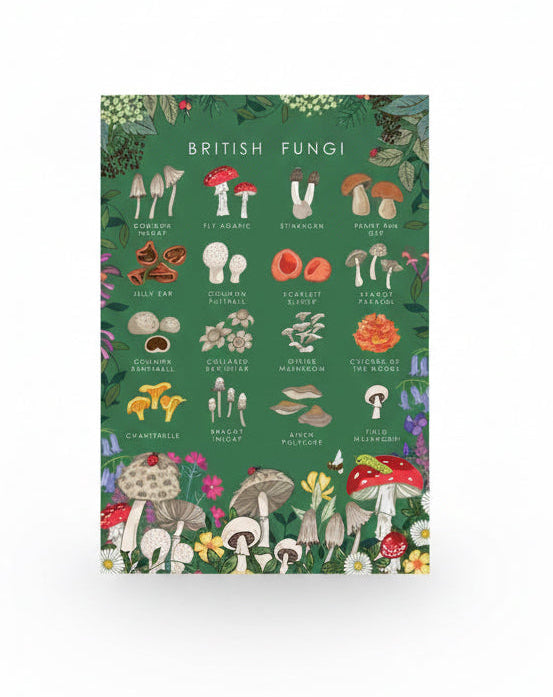 British Fungi Card