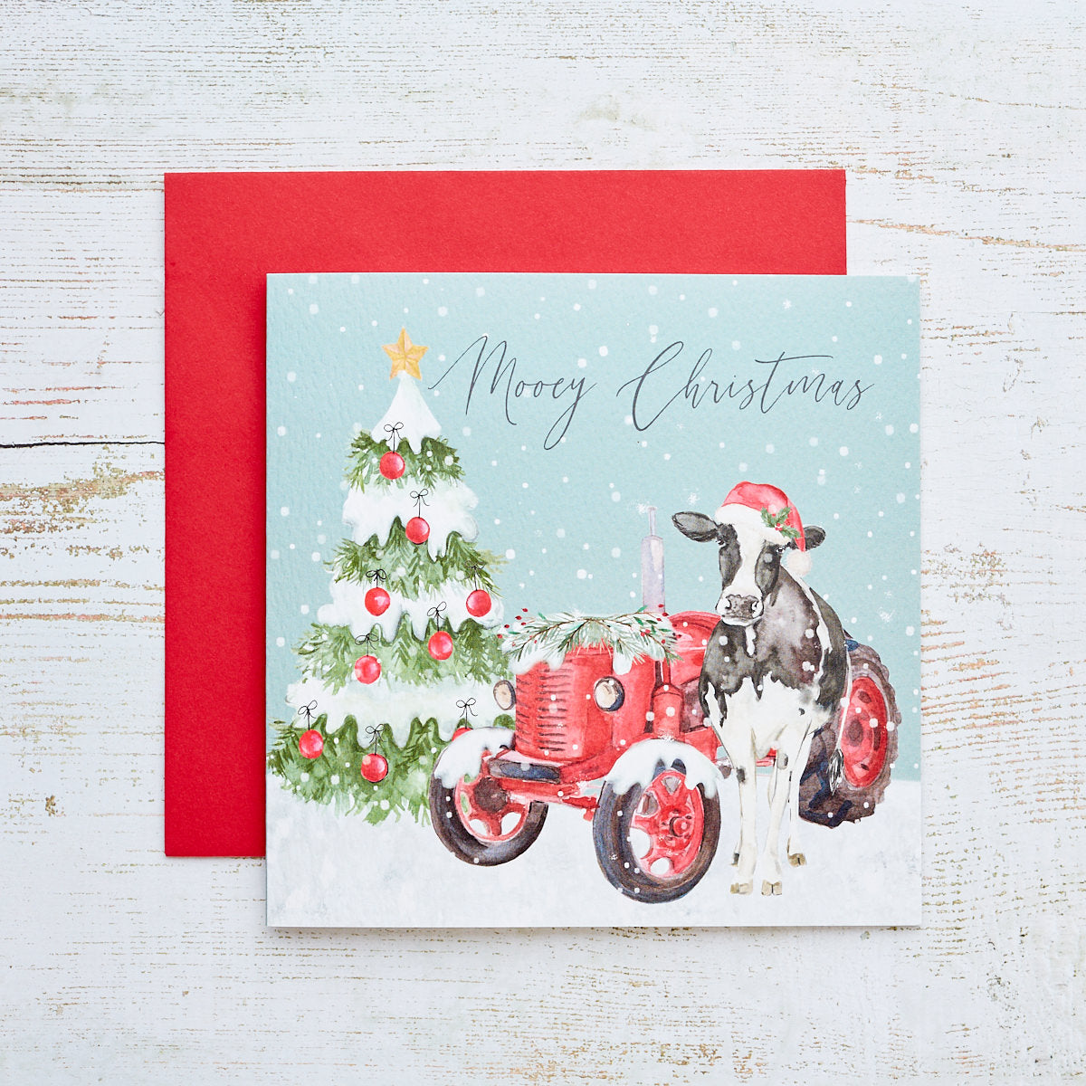 Mooey Christmas Card