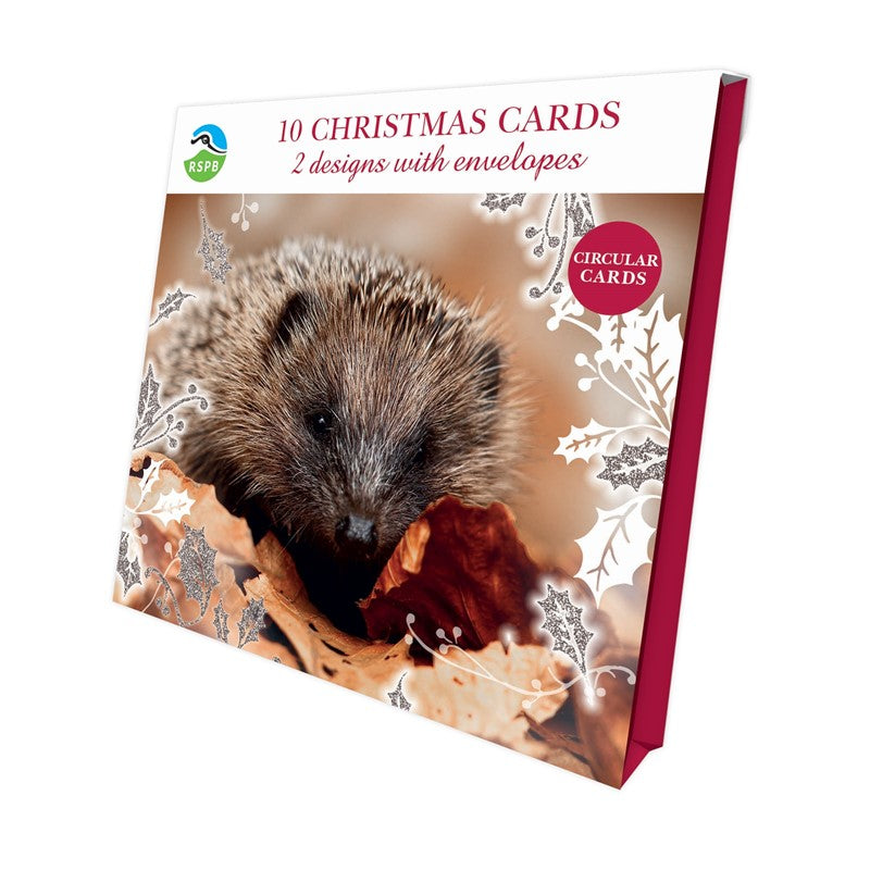 RSPB Hedgehog & Hare Christmas Cards 10 pack