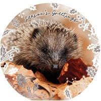 RSPB Hedgehog & Hare Christmas Cards 10 pack