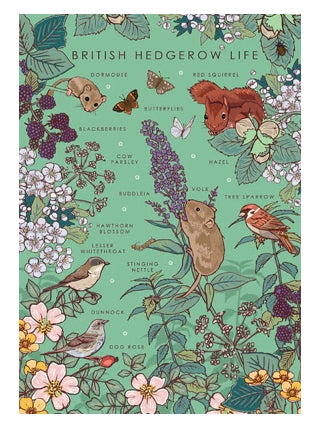 British Hedgerow Life Greetings Card
