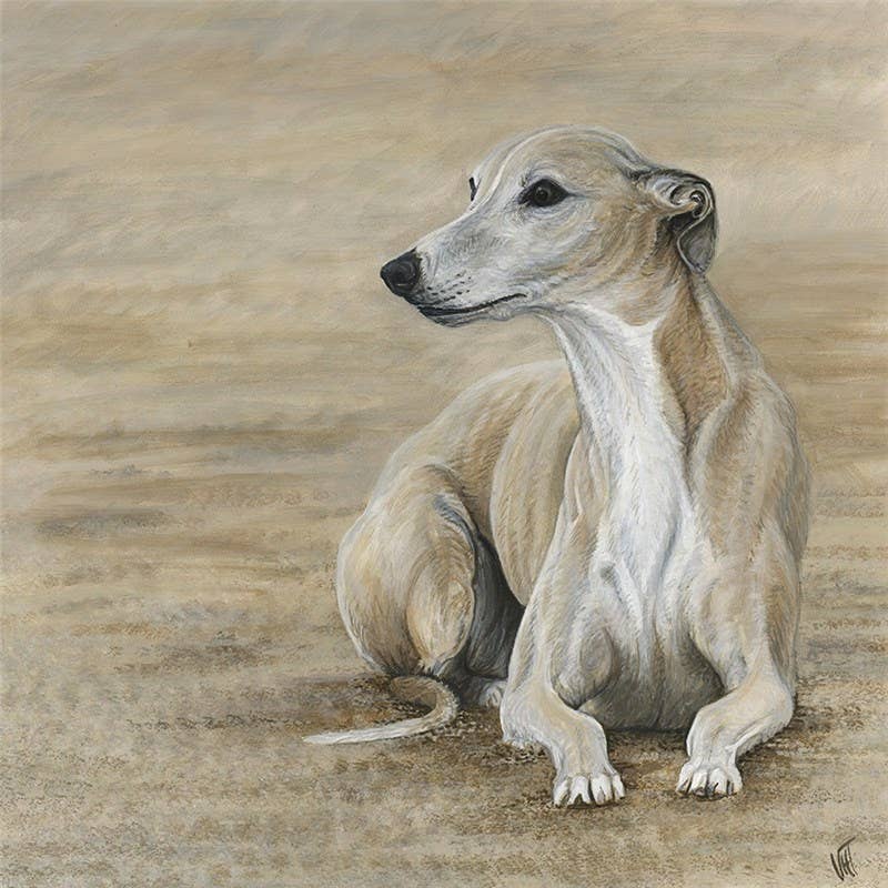 Beach Belle Greeting Card