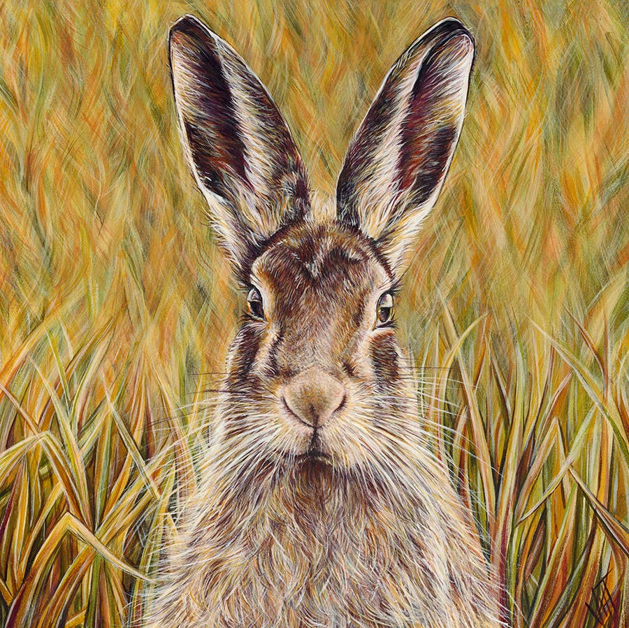 Bright Eyes Greetings Card