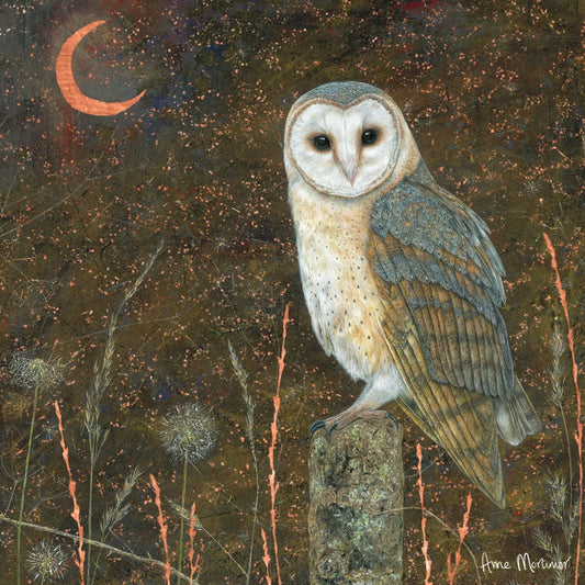 Enchanted Wildlife - Barn Owl Greetings Card