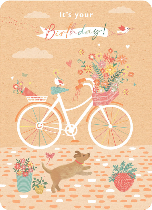 Bicycle Birthday Greetings Card