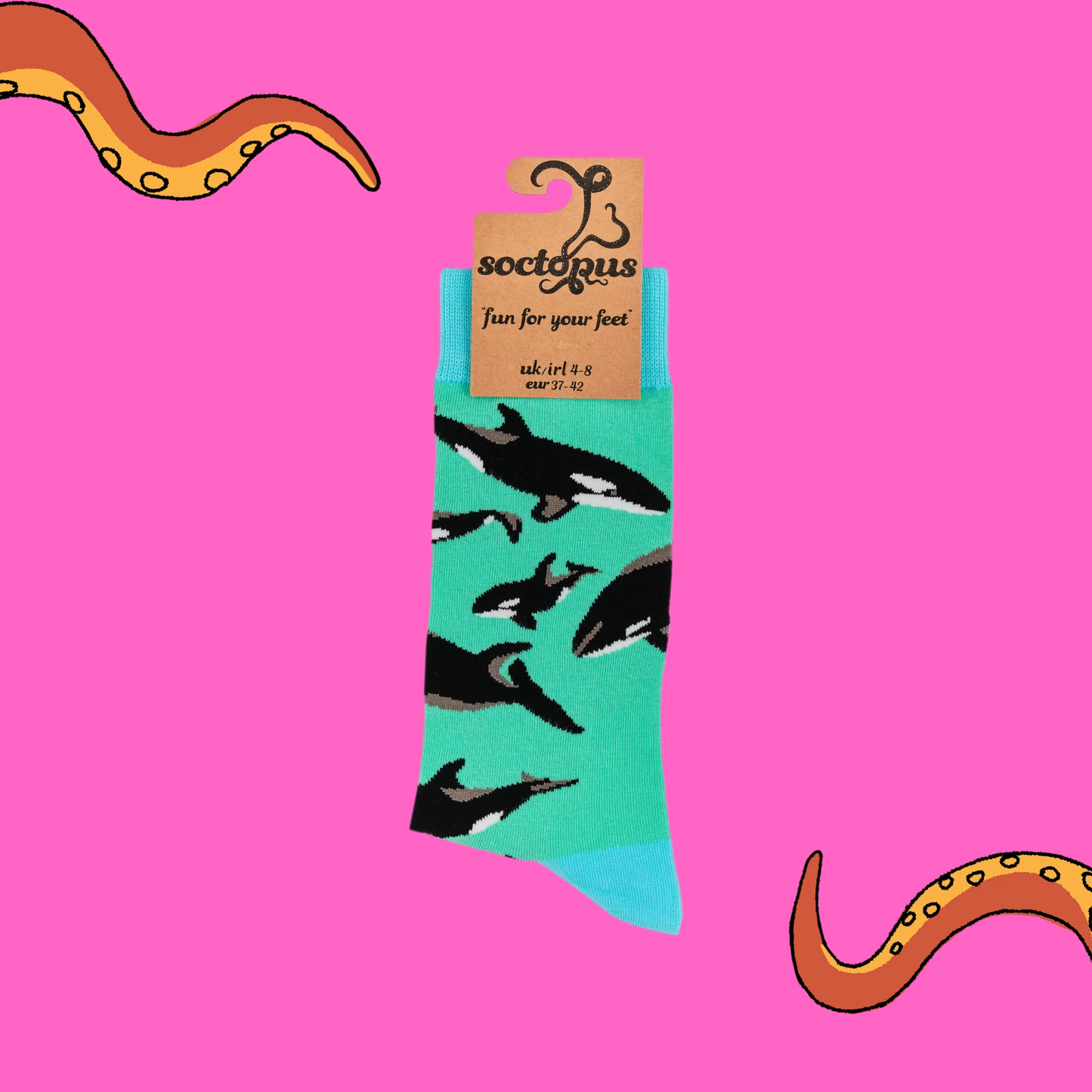 Soctopus, Orca Pod 9-12 (Euro 42-46)