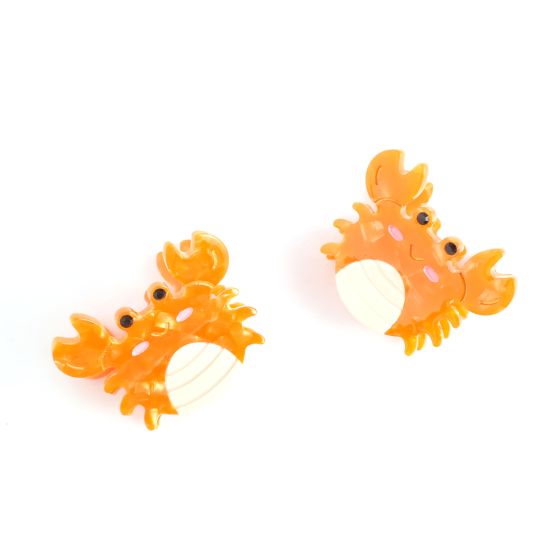 Mini Crab Hair Claw Clips, Twin Pack