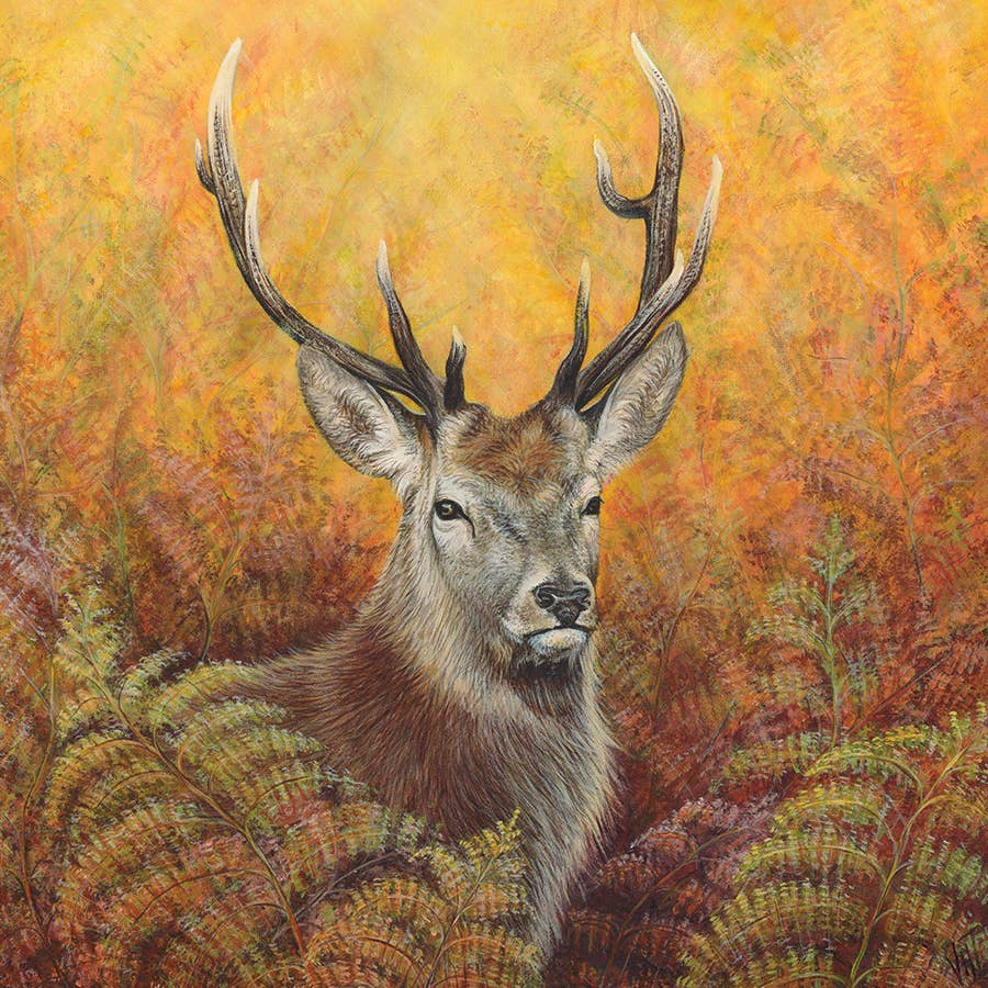 Hiding Place Greeting Card